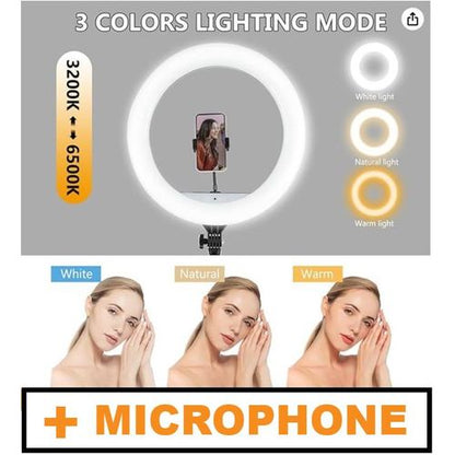 New Electronic Lighter (10 Inch) Videography Ring Light And Stand With Microphone